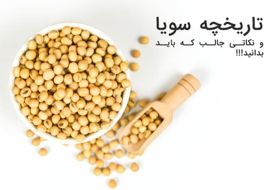 تاریخچه سویا و نکاتی جالب که باید بدانید…