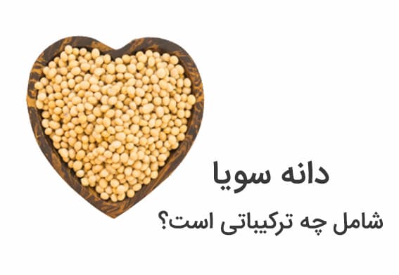 دانه سویا شامل چه ترکیباتی است؟