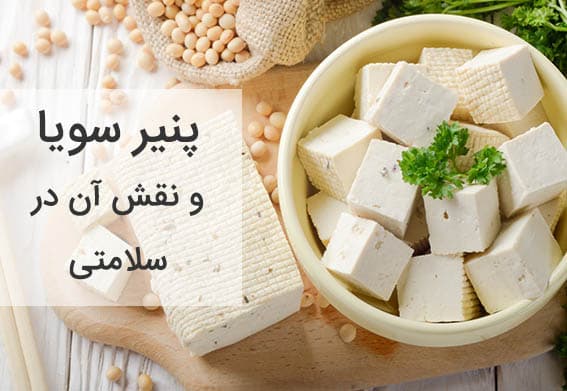 توفو (پنیر سویا) و نقش آن در سلامتی