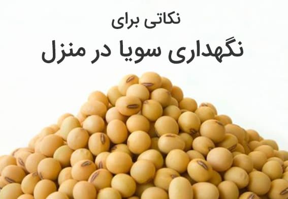 نکاتی برای نگهداری سویا در منزل