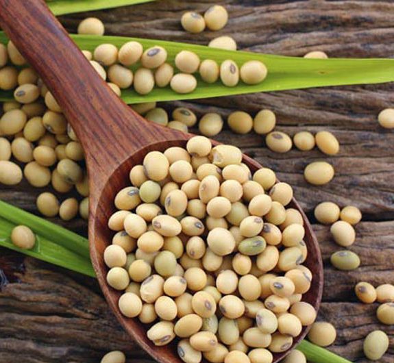 دانه‌های سویا در قاشق چوبی