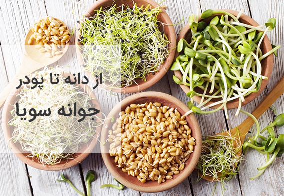 دانه‌ها و جوانه‌های تازه در کاسه‌های سفالی